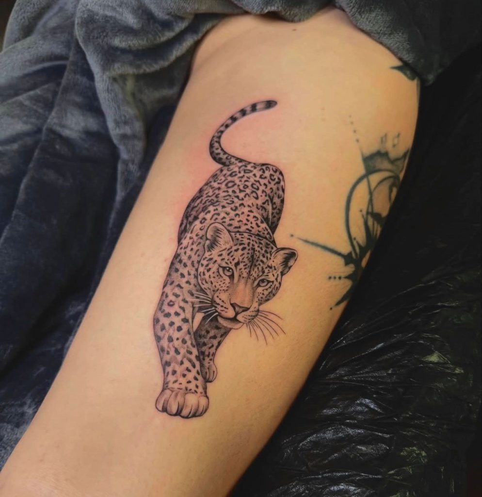 Mikro-Realismus Tattoo: fotorealistischer Leopard auf kleiner Fläche