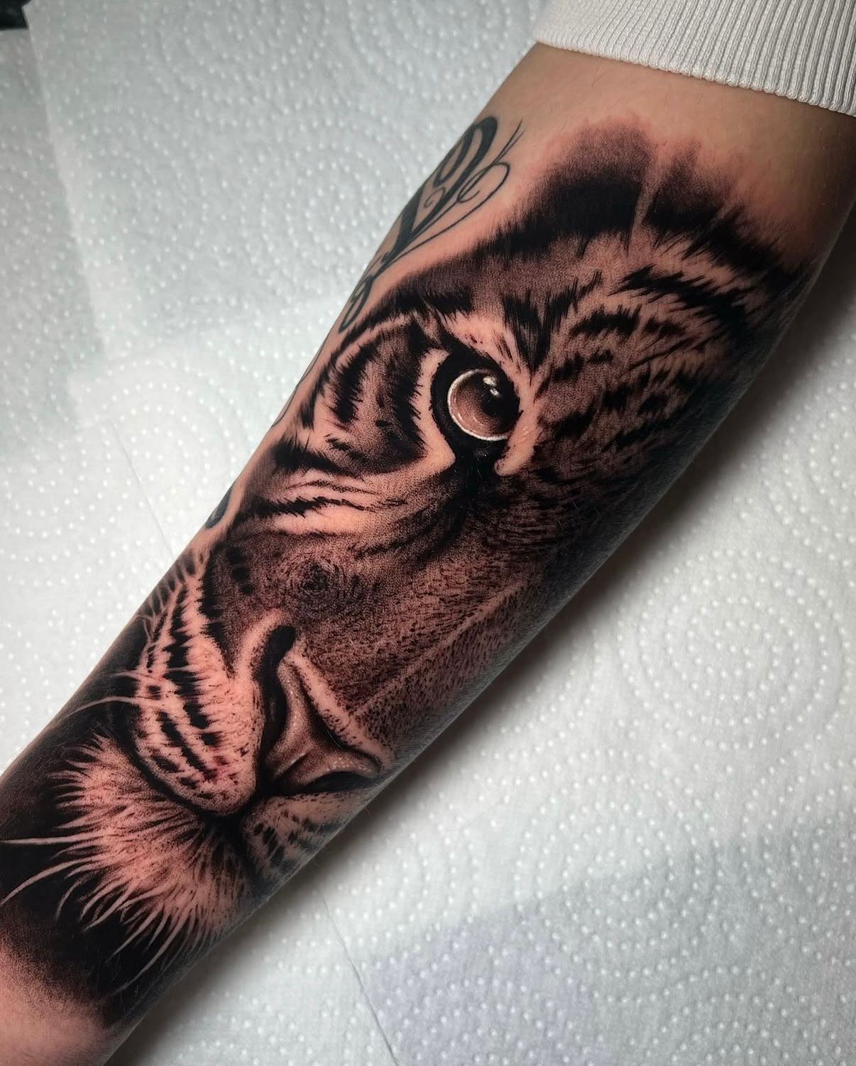 Realismus Tattoo Wien: fotorealistisches Tigerauge